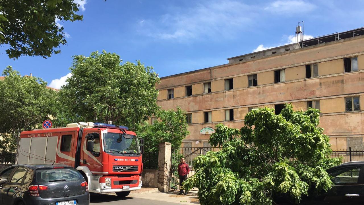L'albero caduto sul cofano del Suv