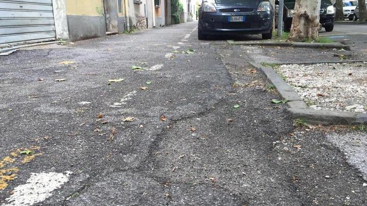 Viale IV novembre tra radici degli alberi e asfalto sconnesso