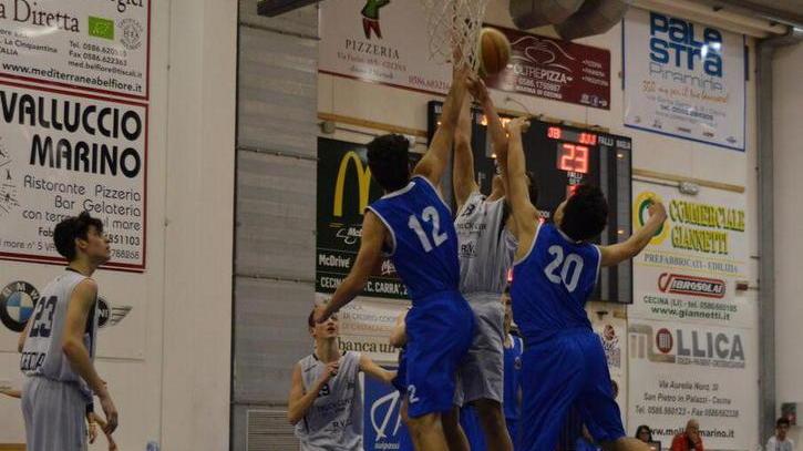 Poker di vittorie per le giovanili del Basket Cecina