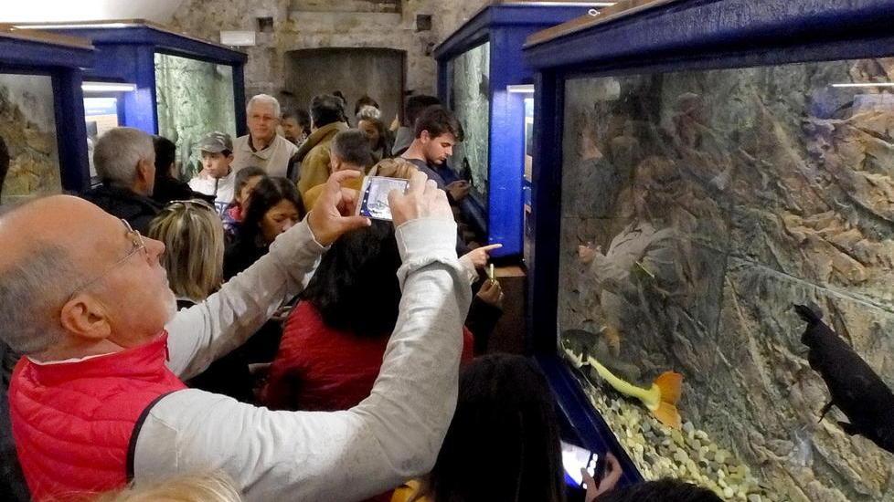 Festa grande alla Certosa per il nuovo acquario