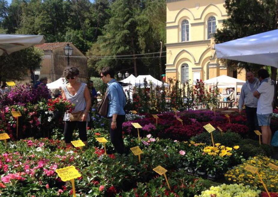 Vicopisano diventa un giardino 