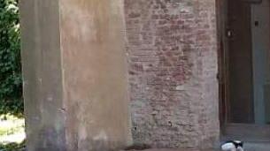 Gattini “prigionieri” del cantiere