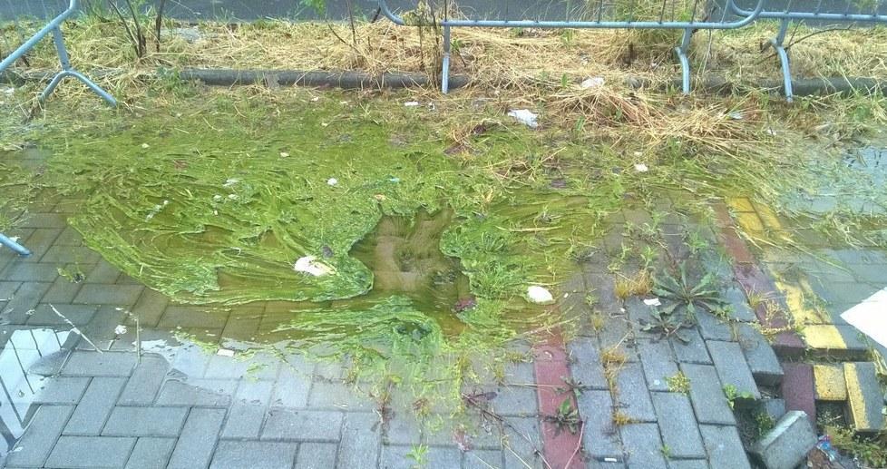 Perdita d’acqua senza sosta