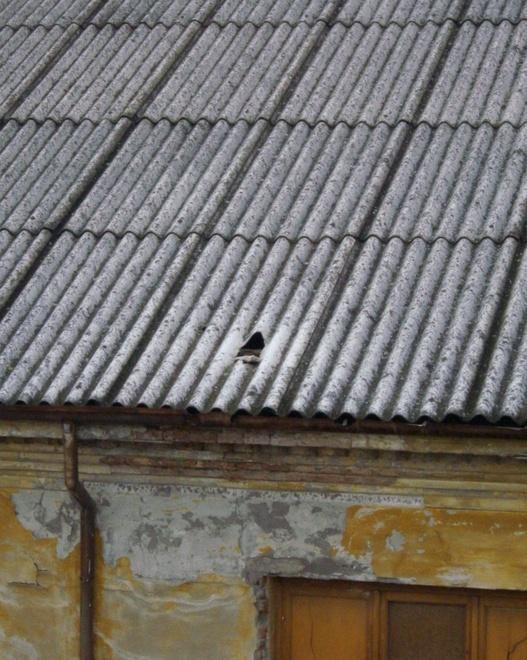 Amianto, rimozione fai da te al via 