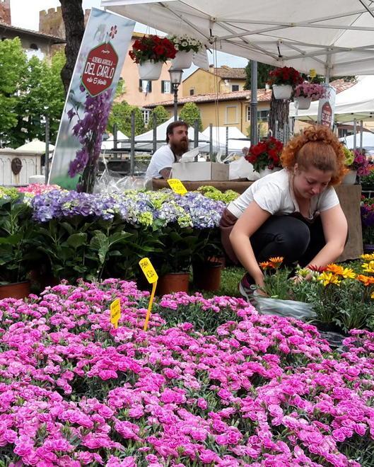 Tanta gente all’evento “Castello in fiore”