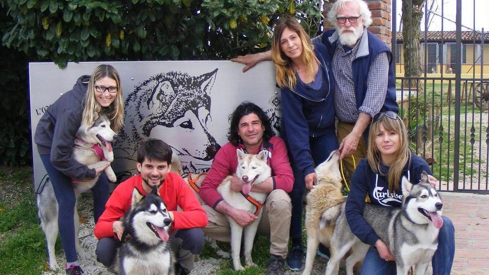 Sei viandanti e sei cani Husky sulla via Francigena