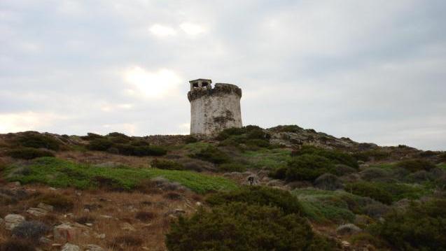 Un centro di studi scientifici nella torre di Capo Falcone 