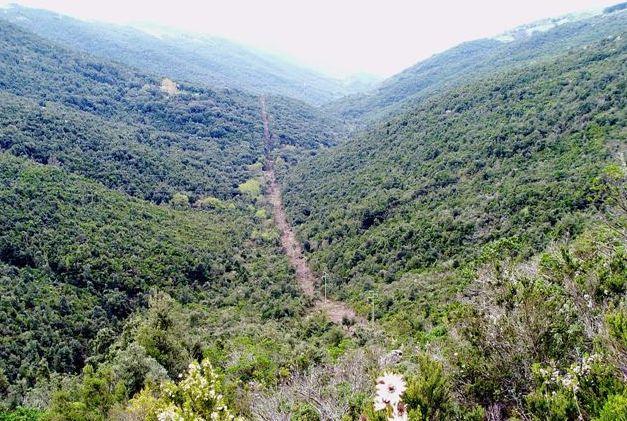I bambini alla scoperta del monte Limbara