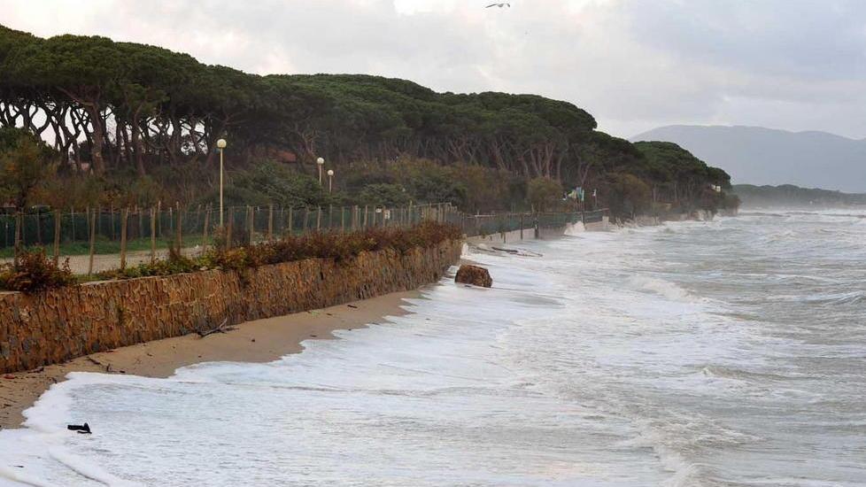 Asta deserta per il villaggio Torre Mozza