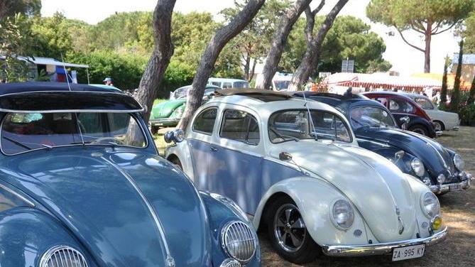 Da Cecina a Bolgheri la colorita invasione di auto e pulmini