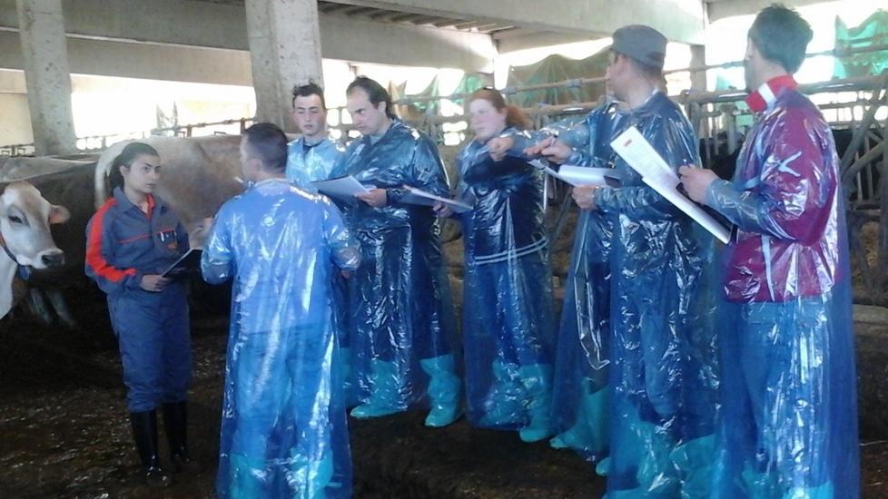 I giovani agricoltori a scuola per decifrare i segnali della vacca