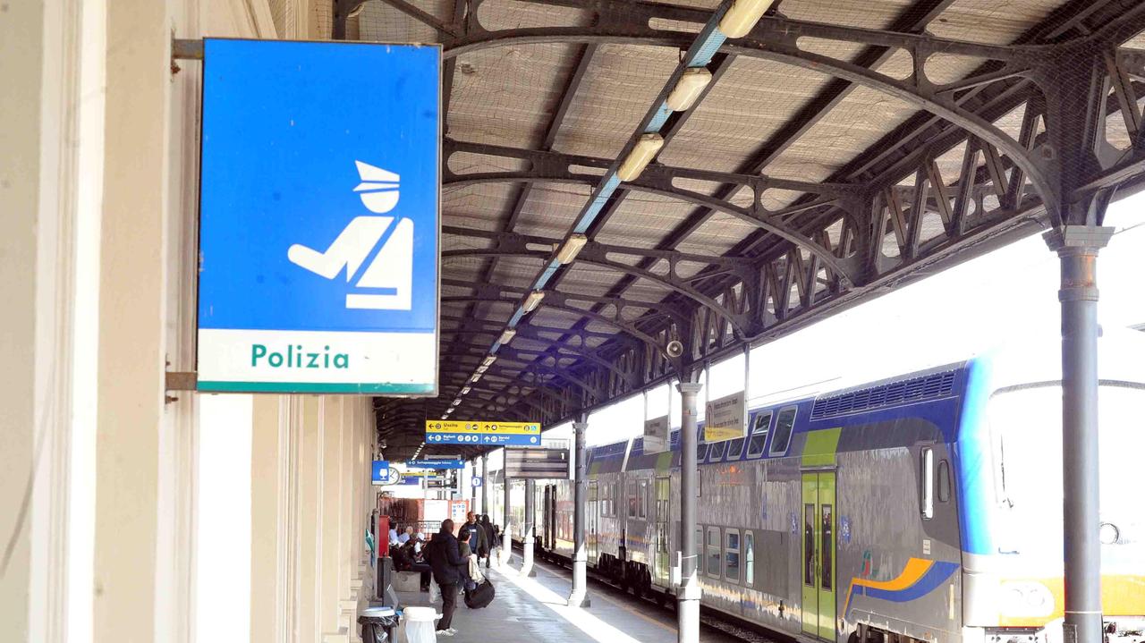 Polfer