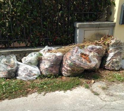 Sacchi del verde a decine sulle strade di Marina 