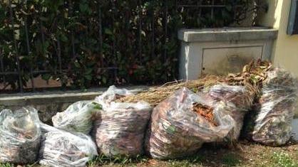 Sacchi del verde a decine sulle strade di Marina