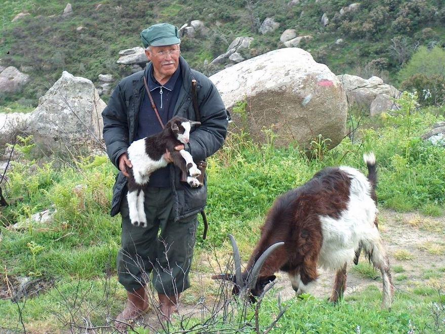 Addio a Evangelista Barsalini l’ultimo pastore dell’Elba