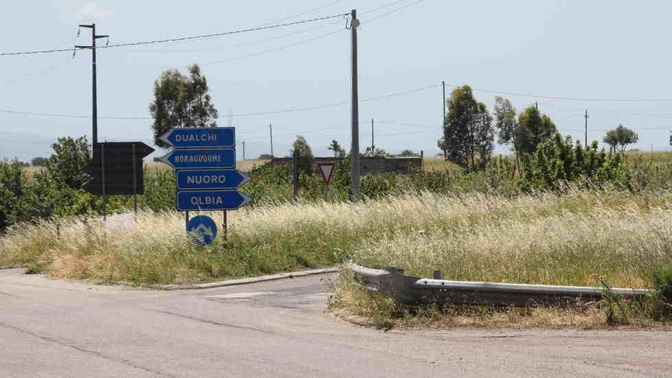 Erba alta nelle cunette della strada 129