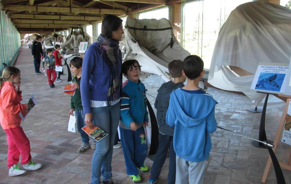 Notti al Museo, il Cus porta i giovani a Calci 