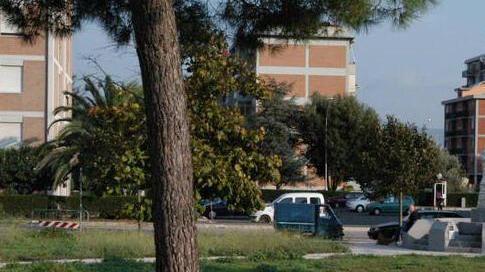 Bando del verde in ritardo per colpa di una e-mail