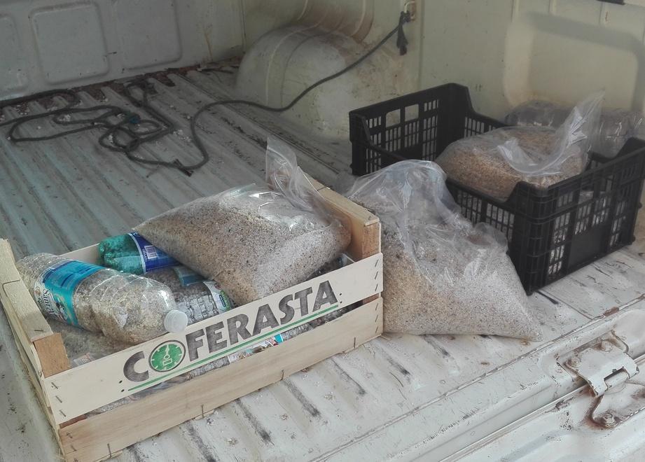 «Più controlli sulla sabbia» Il caso sbarca in consiglio 