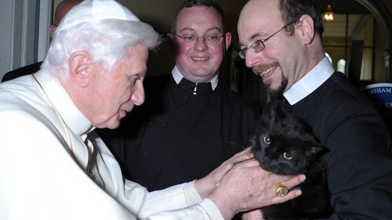 Su Pallosu chiama i Papi: «Venite dai nostri gatti»