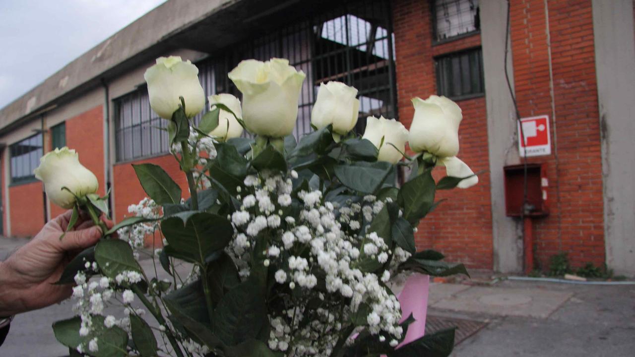 Fiori bianchi davanti al Teresa Moda in via Toscana