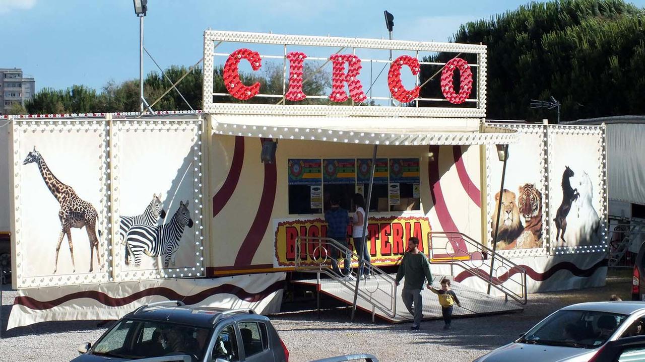 Il tendone del circo (foto PaBar)
