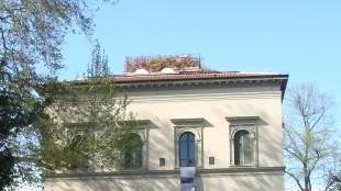 Weekend di iniziative culturali, tra mostre e spettacoli