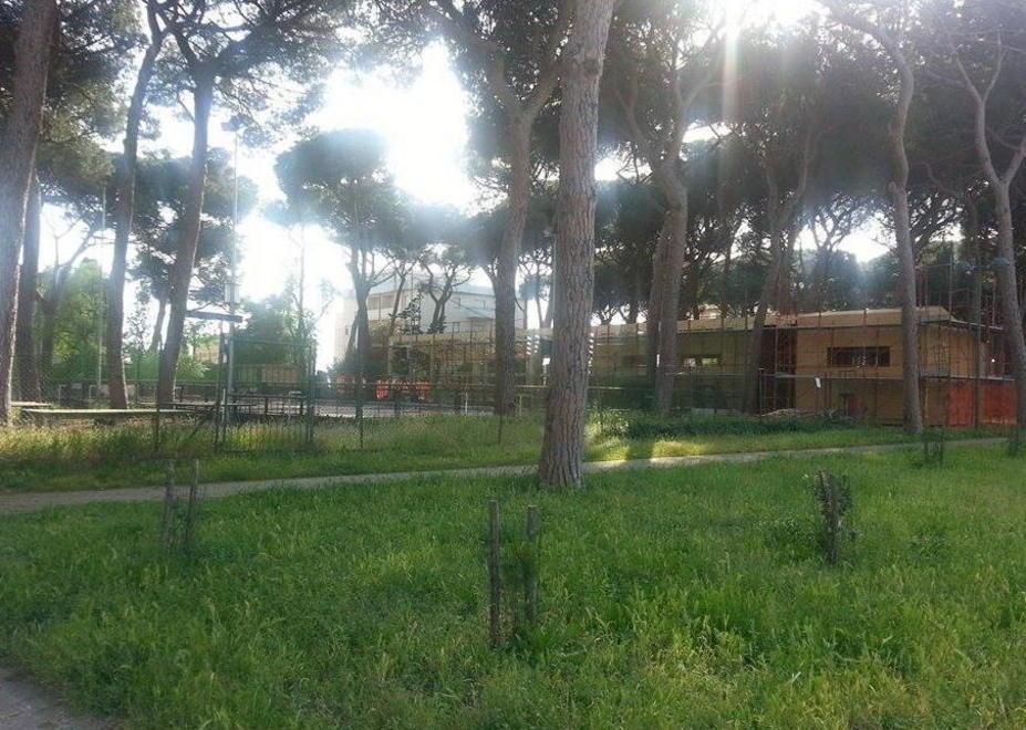 Con i pattini o con il pallone: si riparte 
