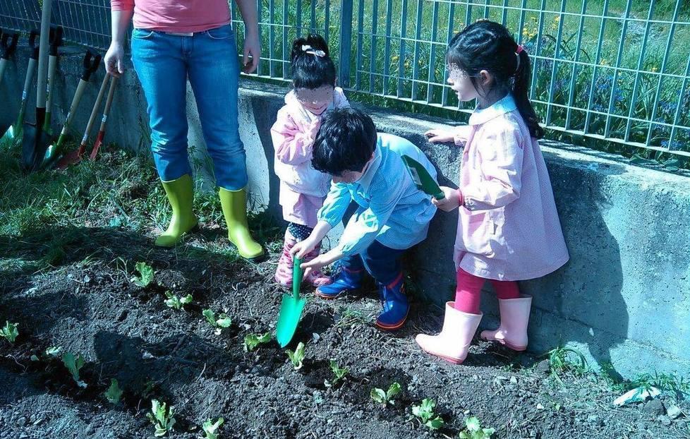 Piccoli agricoltori crescono 
