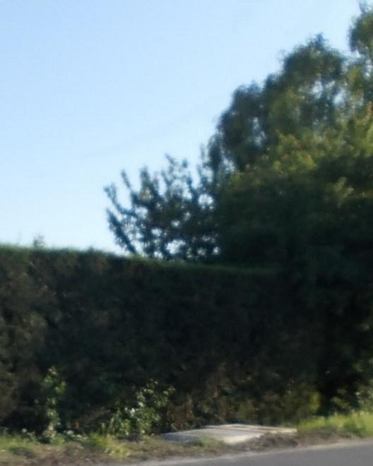 L’autovelox non c’è ma verrà sostituito