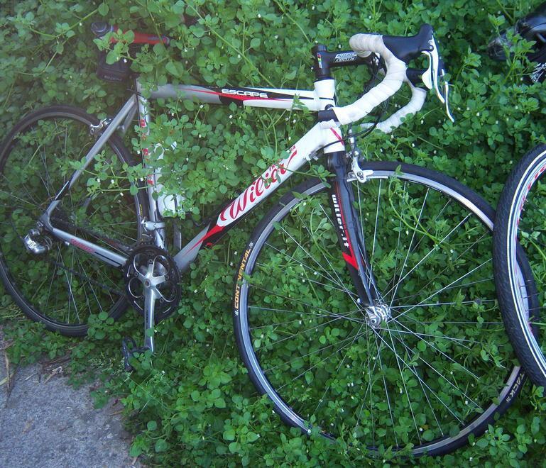 Smantellato bivacco nei vecchi spogliatoi della ex piscina 
