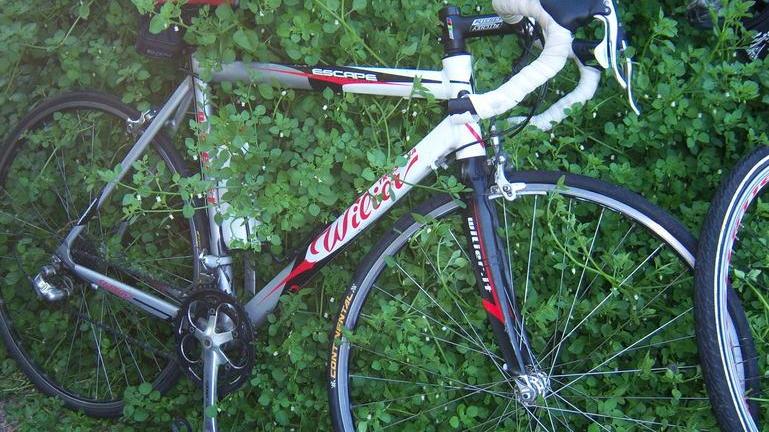 Smantellato bivacco nei vecchi spogliatoi della ex piscina