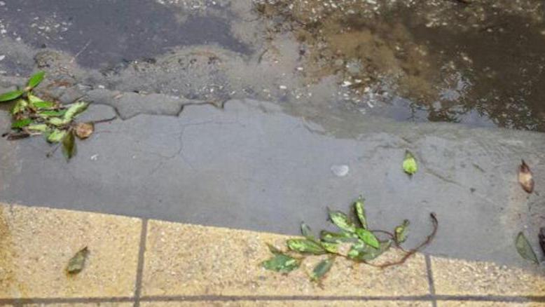 Bambini e genitori costretti a saltare per entrare a scuola