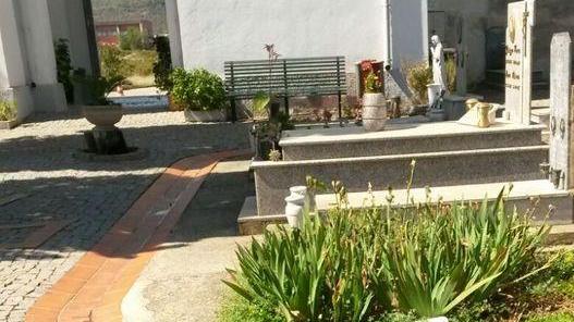 Cade in cimitero: pensionata ferita