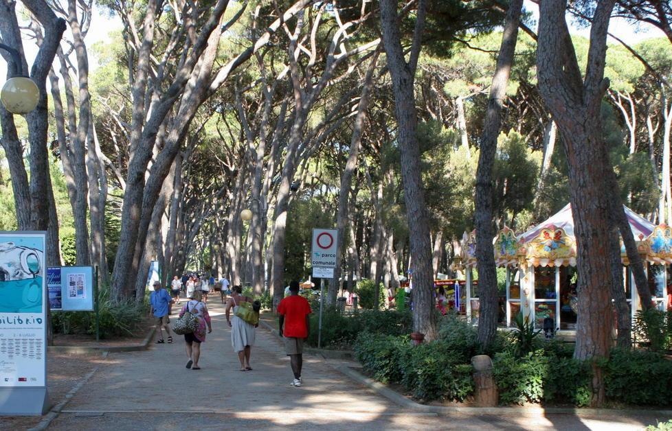 Il viale principale della pineta Marradi, dove dovranno essere abbattute oltre 300 piante