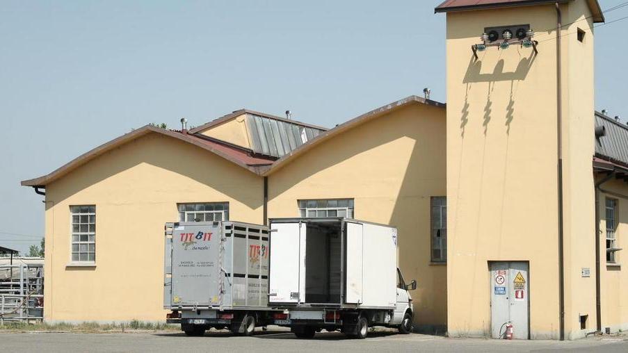 Tragedia sul lavoro nel piazzale del macello TitBit