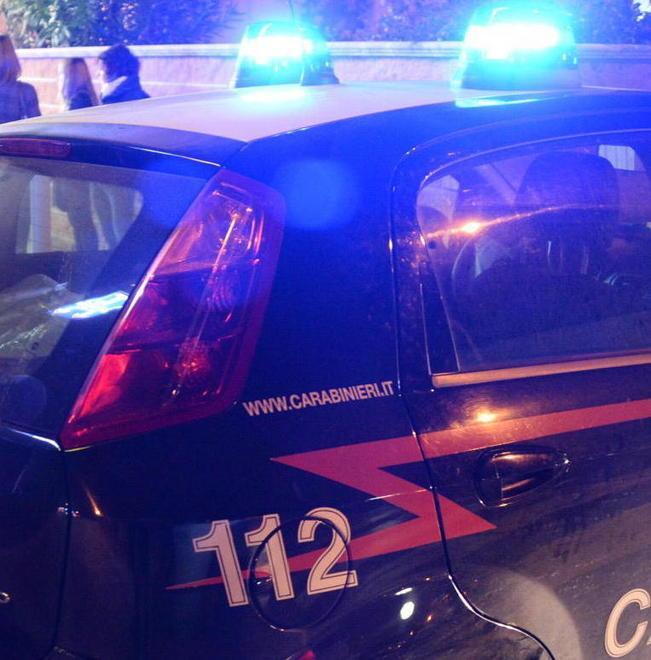 Ladri nella clinica veterinaria a caccia di spiccioli
