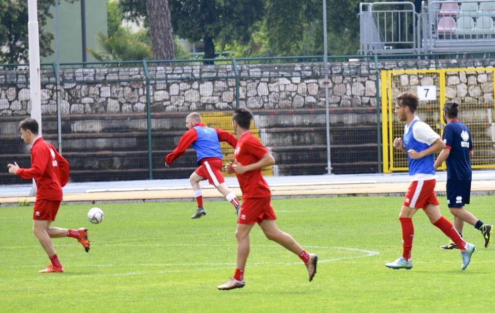 Grifone a porte aperte Ma Orlandi non si svela 