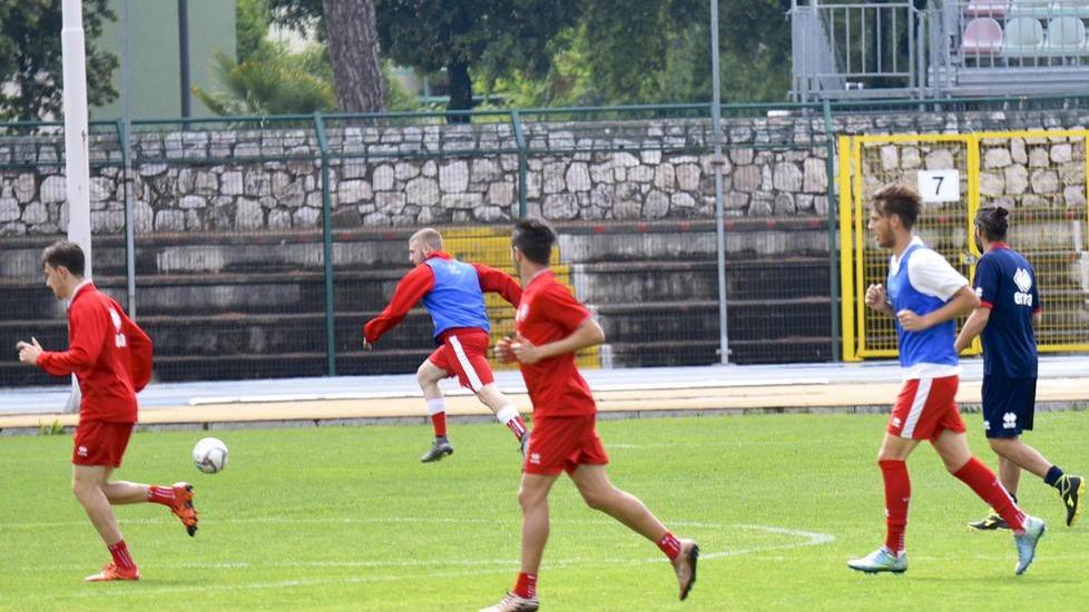 Grifone a porte aperte Ma Orlandi non si svela