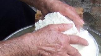 Terralba, un laboratorio per imparare a fare il formaggio