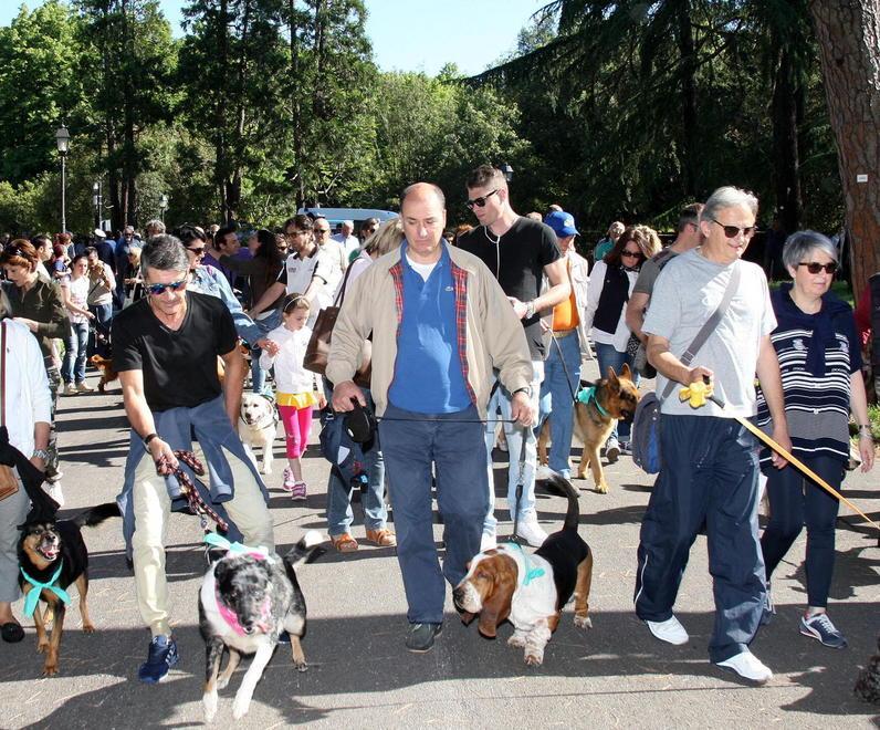L’orgoglio di 500 cani e dei loro padroni