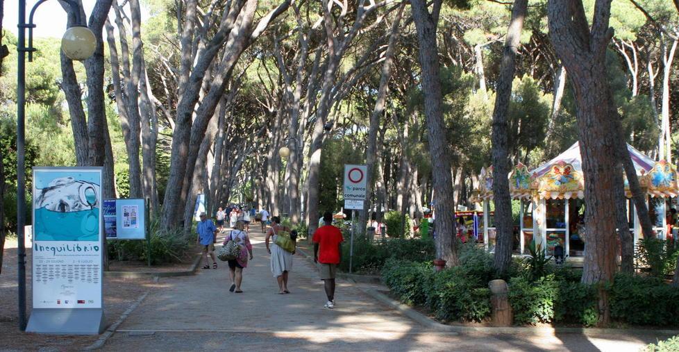 Pineta Marradi, 328 alberi dovranno essere abbattuti