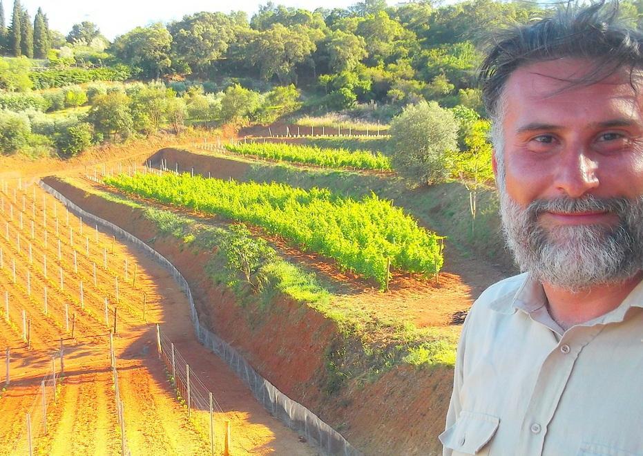 L’Arrighi ampia l’offerta impiantando anche il syrah