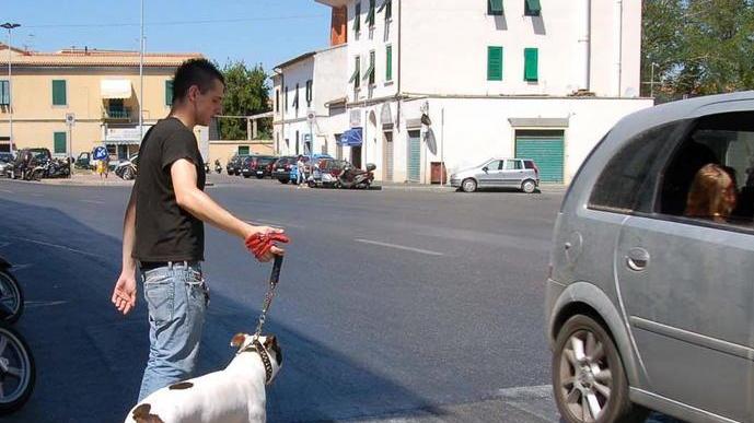 «Ha travolto la mia canina e non si è neppure fermato»
