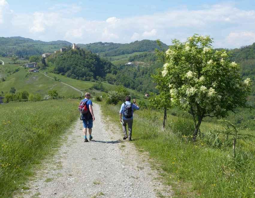 I nostri itinerari in Appennino: a Montecorone, dove c’è il bosco prima c’era il mare 