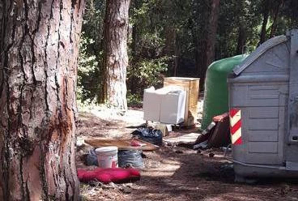 Frigo e vecchi divani l’abbandono di rifiuti c’è anche in pineta 
