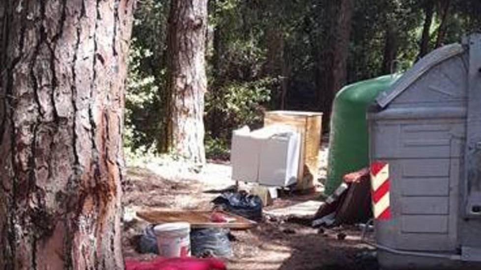 Frigo e vecchi divani l’abbandono di rifiuti c’è anche in pineta