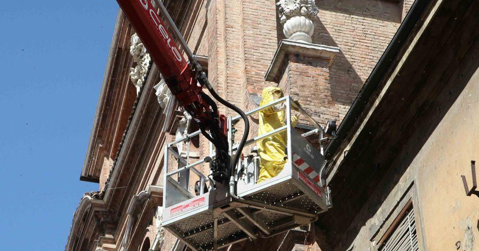 Invasione di api davanti alla chiesa