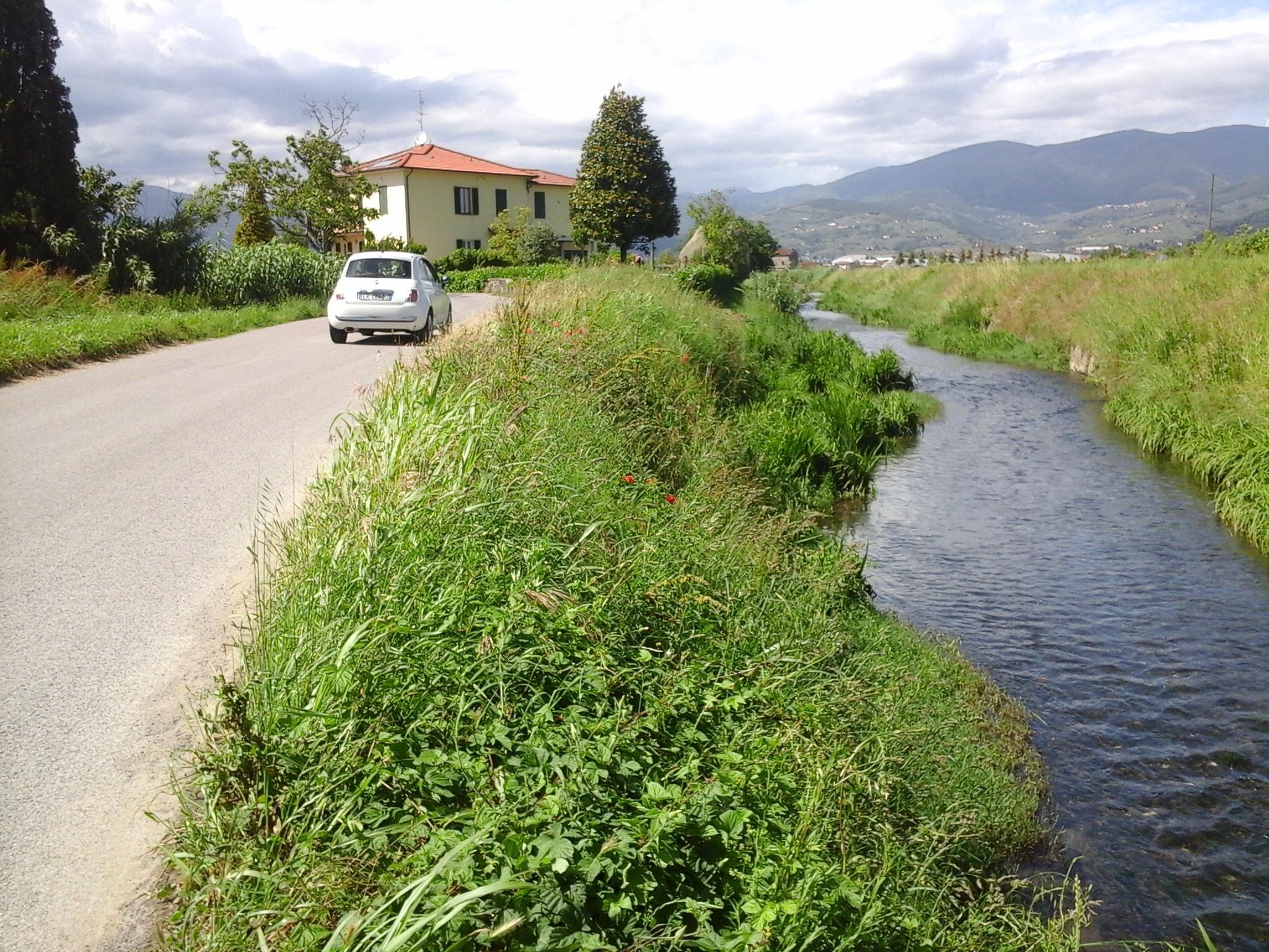 Erba alta sulla Brana: lo sfalcio inizia a giugno 