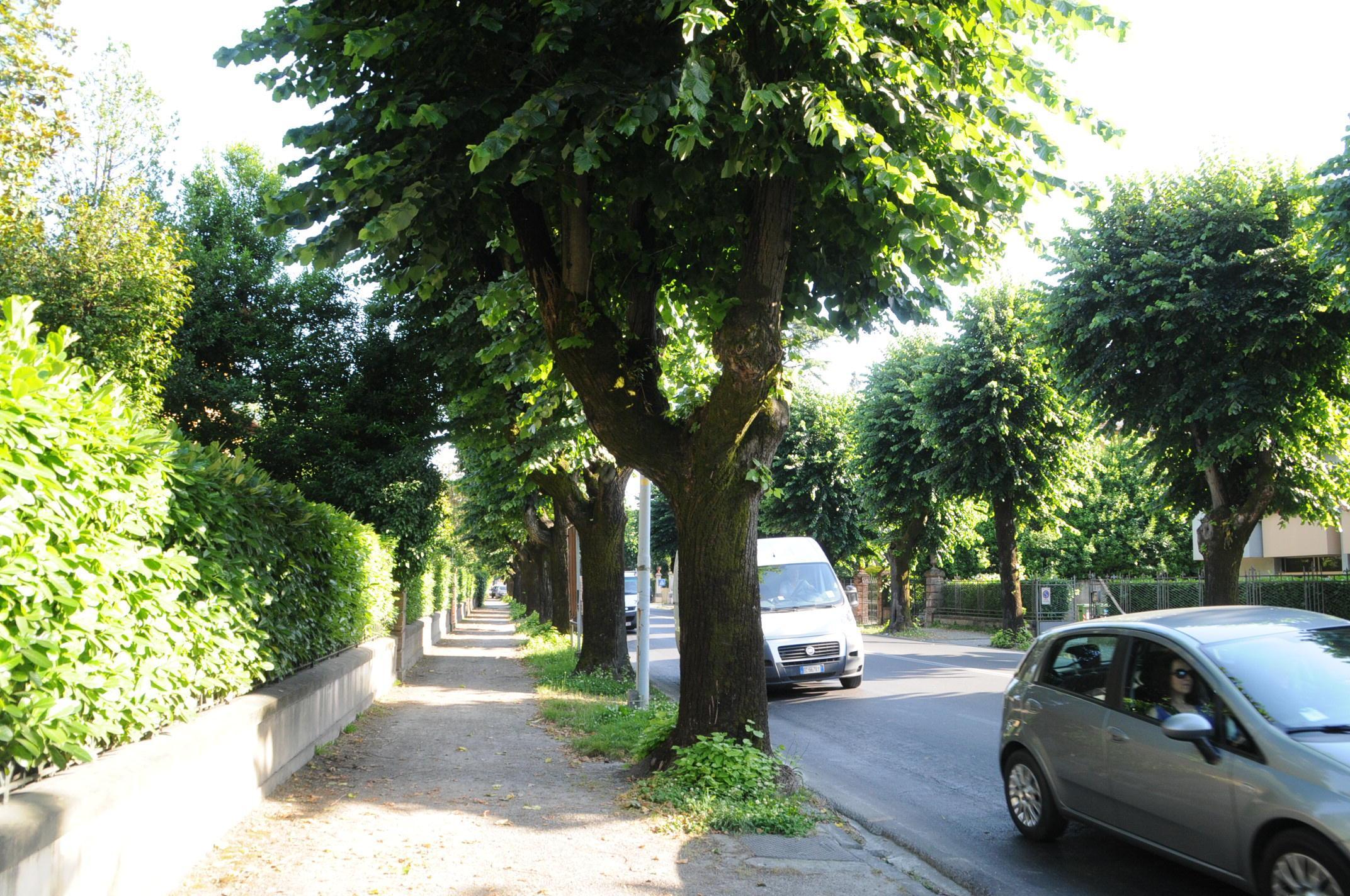 Via Matteo Civitali